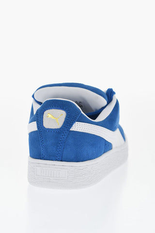 Sneakers Basse XL in Camoscio 
