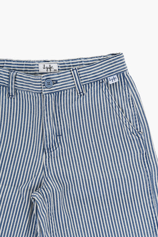 Shorts Carpenter a Righe