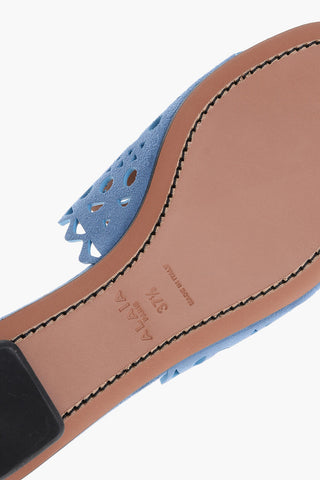 Perforated Suede VIENNE Sliders