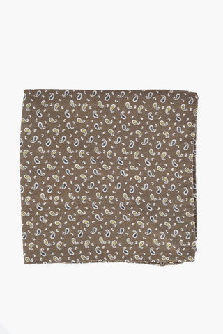 CC COLLECTION Paisley Patterned Silk Pocket Square