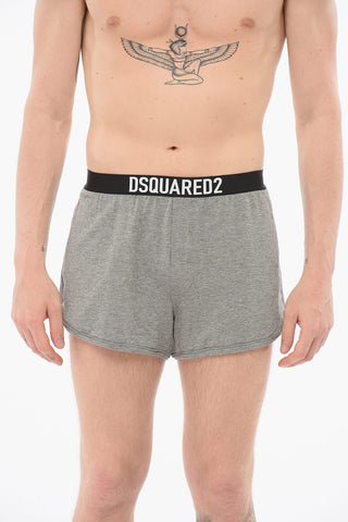 Stretchy Boxer With Logoed Band