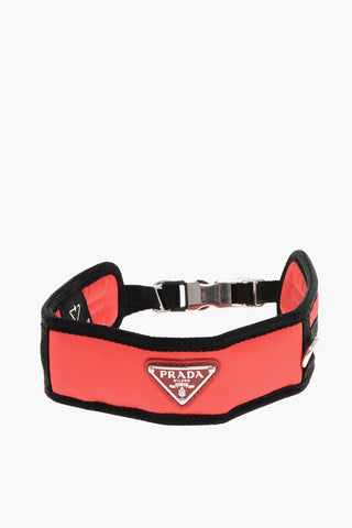 Collare per Cani Regolabile in Nylon