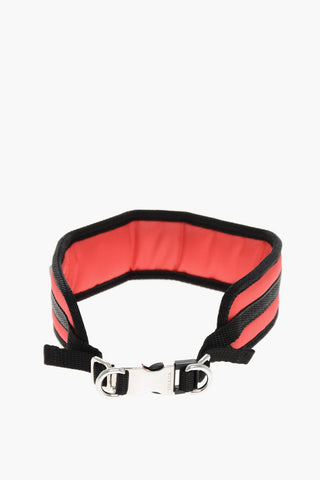 Collare per Cani Regolabile in Nylon