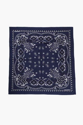 Paisley Motif Two-Tone Foulard