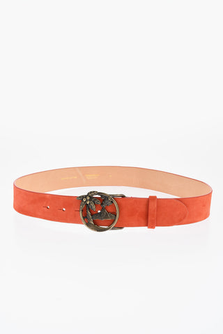 Solid Color Suede Belt with Golden Effect Buckle 40mm
