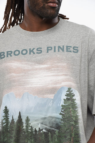 T-Shirt Girocollo BROOKS PINES Loose Fit Stampata