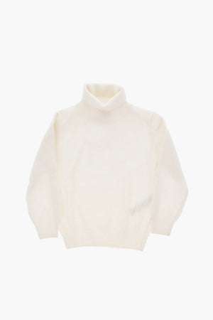 Virgin Wool Turtleneck Sweater