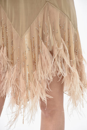Sheer Minidress With Rhinestones And Feathers