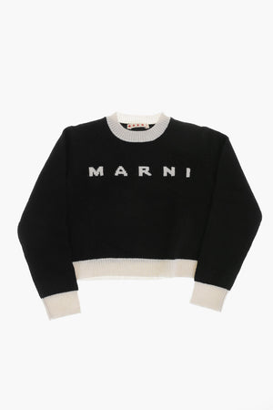 Wool and Cashmere Crewneck Sweater with Contrast Details