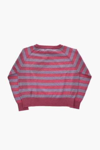 Wool Crewneck Sweater with Awning Pattern
