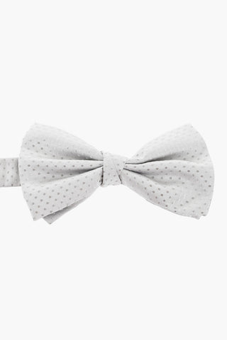 CC COLLECTION Satin Polka Dot Bow Tie