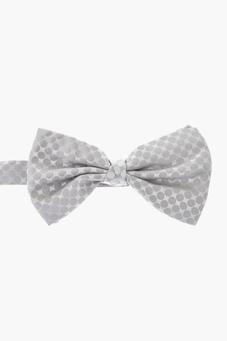CC COLLECTION Papillon Bicolore a Pois