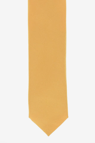 CC COLLECTION Silk Tie