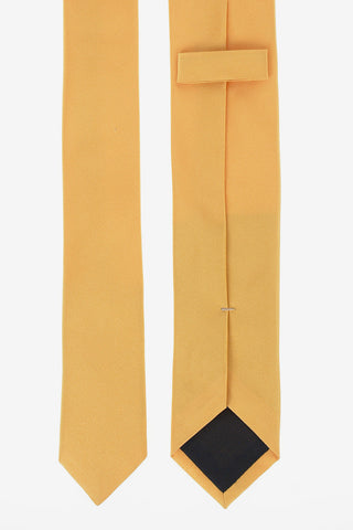 CC COLLECTION Silk Tie