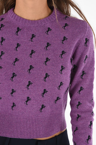 Embroidered Crewneck Sweater