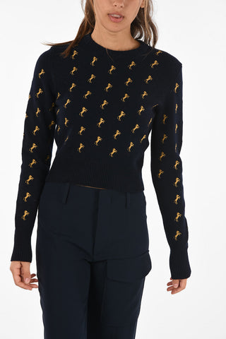 Embroidered Crewneck Sweater