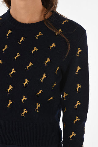 Embroidered Crewneck Sweater