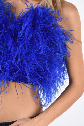 Ostrich Feathers Bustier top