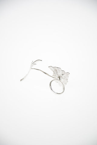MM6 Brass Ring
