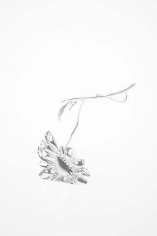 MM6 Brass Earring