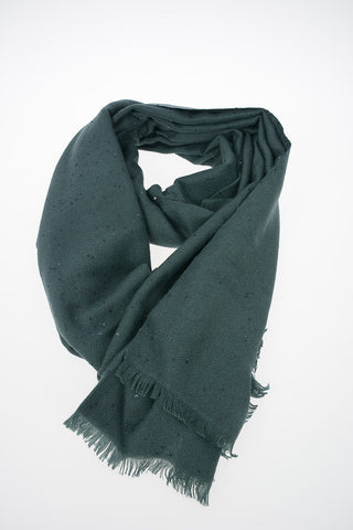 Cashemere and Silk Sequined Scarf