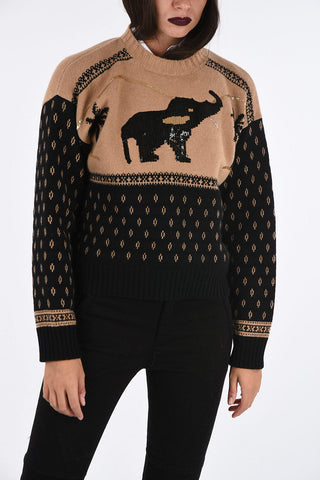 Crewneck Sweater with Sequined Embroidery