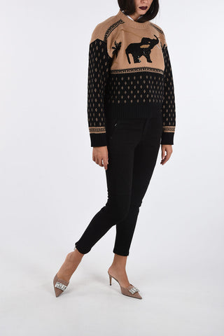 Crewneck Sweater with Sequined Embroidery