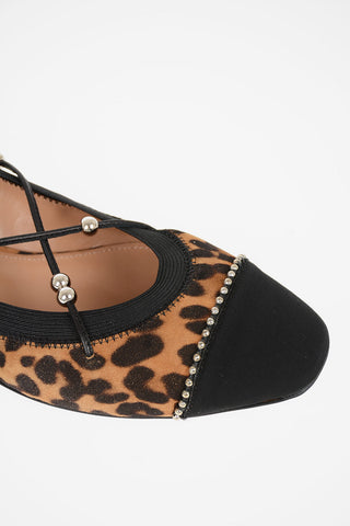 Suede leather Leopard Printed MYSTIQUE Ballet flats