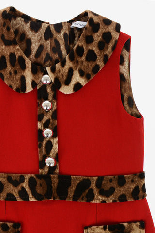 cheetah-print shirtdress