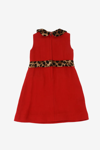 cheetah-print shirtdress
