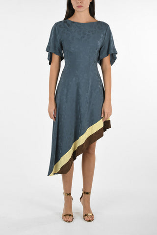 Feathers Printed Asymmetrical dress