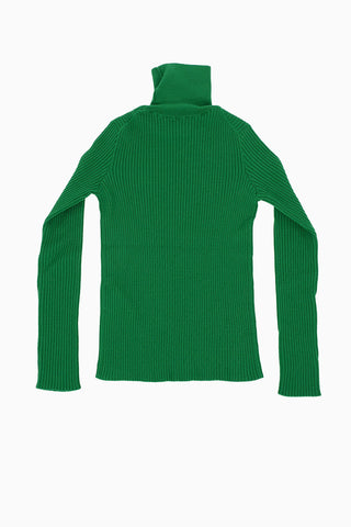 Wool Turlteneck Sweater