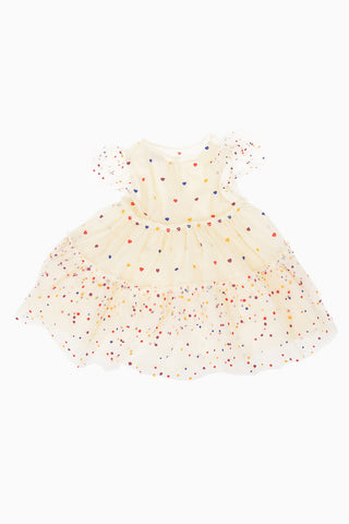 Embroidered Tulle Dress