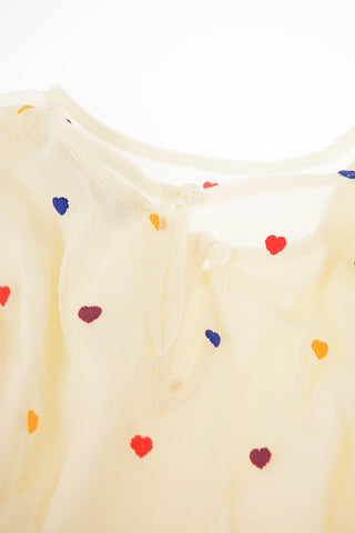 Embroidered Tulle Dress