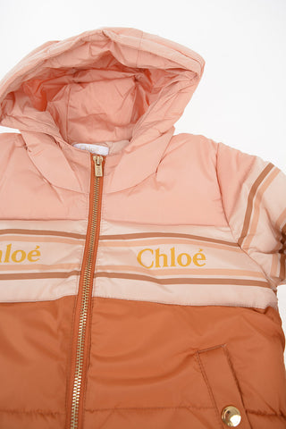 Hooded Puffer