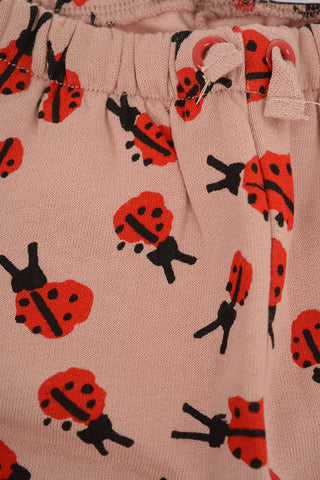 ladybug- print Sweatshirt and Jogger Pant Set