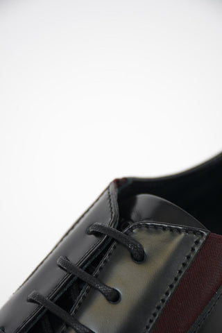 Stringate Derby H393 in Pelle Spazzolata