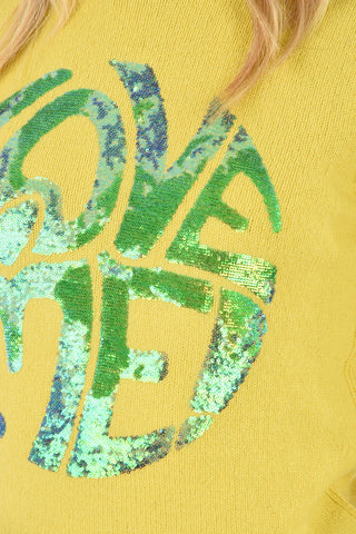 crew-neck sweater with Sequin Embroidery