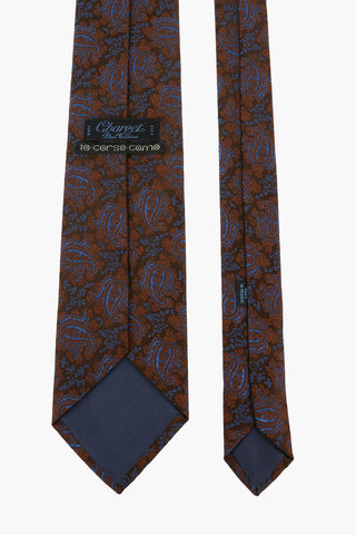 paisley silk Tie
