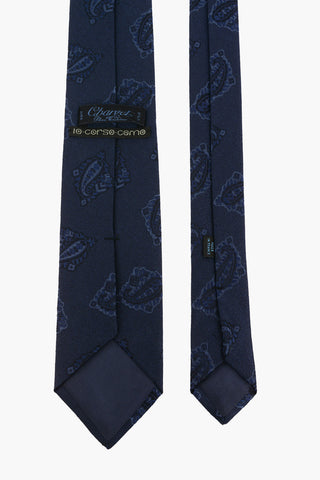 paisley silk Tie