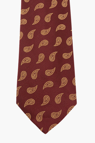 paisley silk Tie