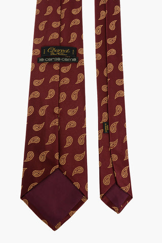 paisley silk Tie