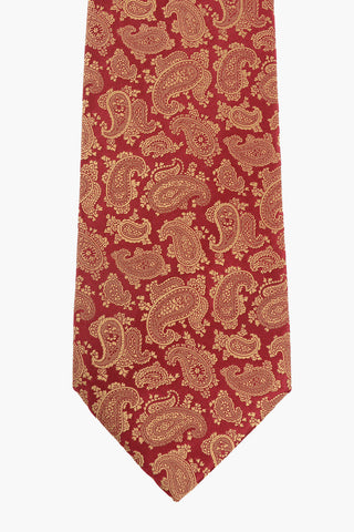paisley silk Tie