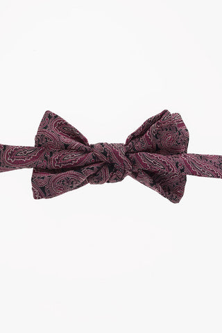Silk Paisley Printed Adjustable Diamond Bow Tie