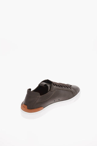 EZ LUXURY Leather FERRARA Sneakers