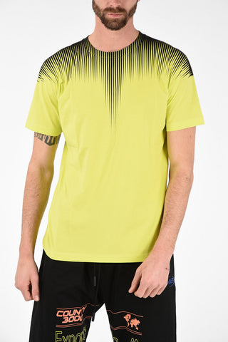 T-Shirt FALLS WINGS in Cotone