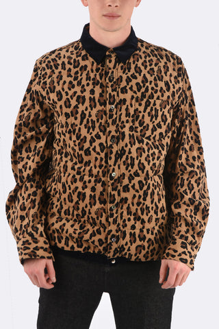 Spotted Velvet Bomber