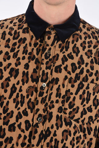 Spotted Velvet Bomber