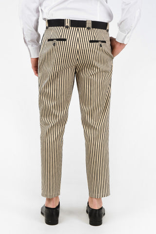 Pantaloni a Doppia Pince in Cotone e Seta Pencil Stripe 