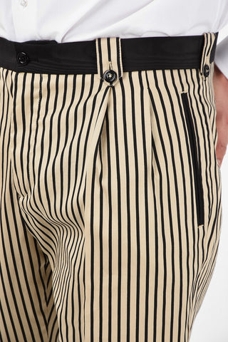 Pantaloni a Doppia Pince in Cotone e Seta Pencil Stripe 